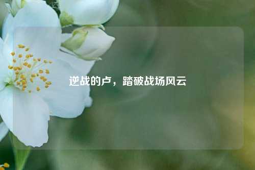 逆战的卢，踏破战场风云