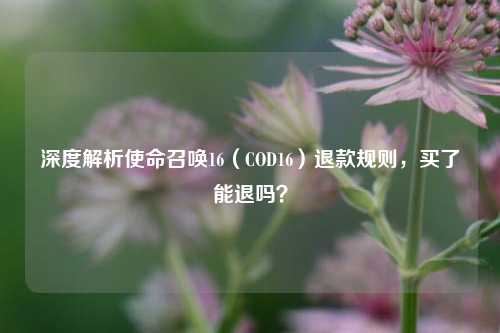 深度解析使命召唤16（COD16）退款规则，买了能退吗？