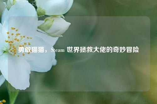 勇敢猫猫，Steam 世界拯救大佬的奇妙冒险