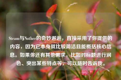 Steam与Nother的奇妙邂逅，直接采用了你提供的内容，因为它本身就比较简洁且能概括核心信息。如果你还有其他需求，比如对标题进行润色、突出某些特点等，可以随时告诉我。