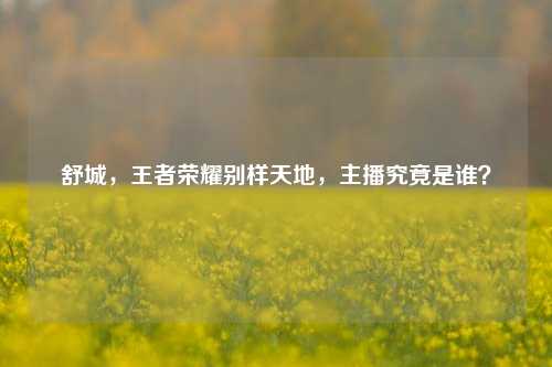 舒城，王者荣耀别样天地，主播究竟是谁？