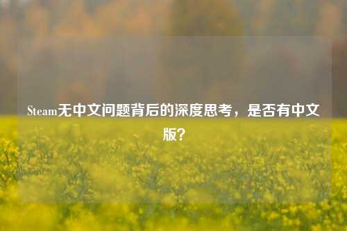 Steam无中文问题背后的深度思考，是否有中文版？