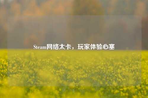 Steam网络太卡，玩家体验心塞