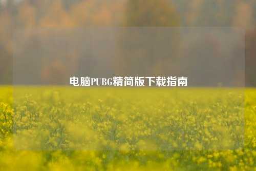 电脑PUBG精简版下载指南
