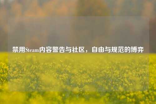 禁用Steam内容警告与社区，自由与规范的博弈