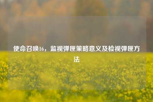 使命召唤16，监视弹匣策略意义及检视弹匣方法