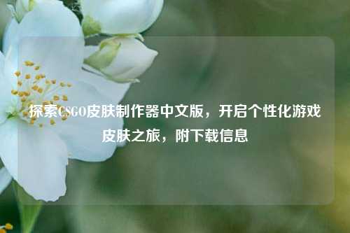 探索CSGO皮肤制作器中文版，开启个性化游戏皮肤之旅，附下载信息