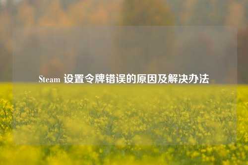 Steam 设置令牌错误的原因及解决办法