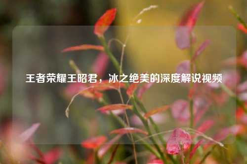 王者荣耀王昭君，冰之绝美的深度解说视频