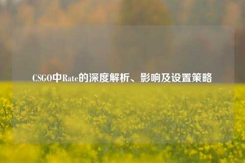 CSGO中Rate的深度解析、影响及设置策略