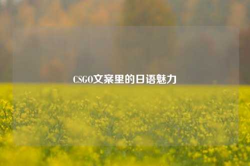 CSGO文案里的日语魅力