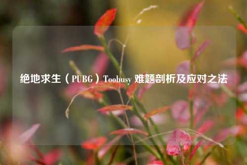 绝地求生（PUBG）Toobusy 难题剖析及应对之法