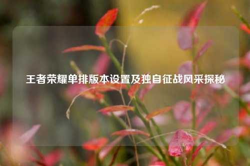 王者荣耀单排版本设置及独自征战风采探秘