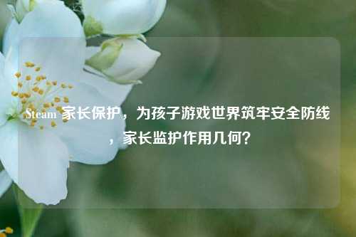 Steam 家长保护，为孩子游戏世界筑牢安全防线，家长监护作用几何？