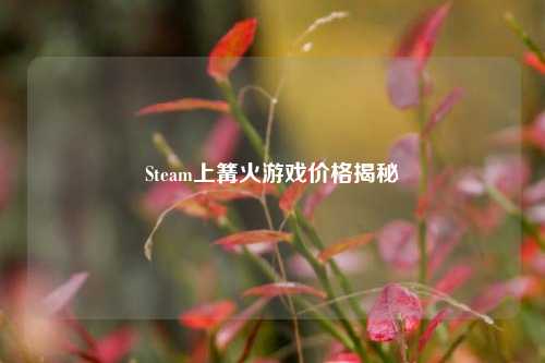 Steam上篝火游戏价格揭秘