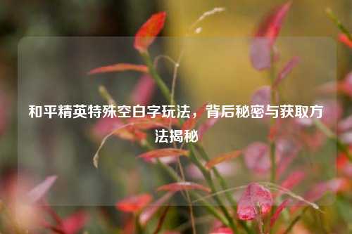 和平精英特殊空白字玩法，背后秘密与获取方法揭秘