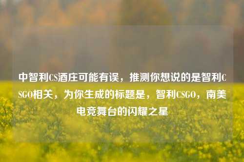 中智利CS酒庄可能有误，推测你想说的是智利CSGO相关，为你生成的标题是，智利CSGO，南美电竞舞台的闪耀之星