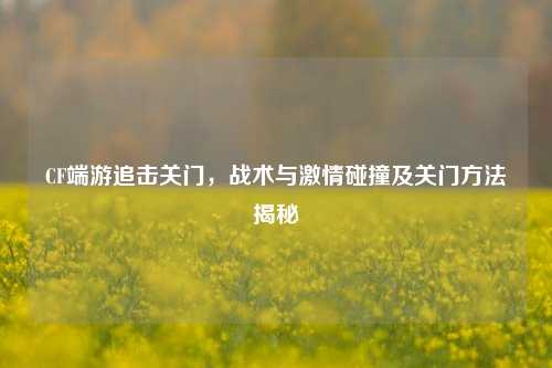 CF端游追击关门，战术与激情碰撞及关门方法揭秘