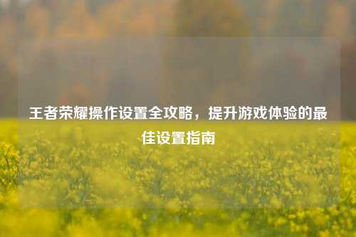 王者荣耀操作设置全攻略,提升游戏体验的最佳设置指南