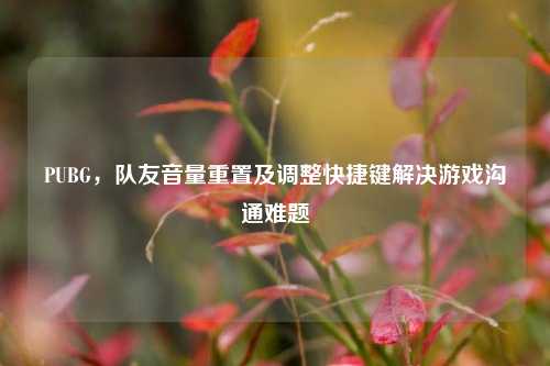 PUBG，队友音量重置及调整快捷键解决游戏沟通难题