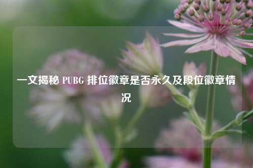一文揭秘 PUBG 排位徽章是否永久及段位徽章情况