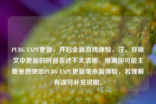 PUBG EXPE更新，开启全新游戏体验，注，你原文中更新的拼音表述不太清晰，推测你可能主要是想突出PUBG EXPE更新带来新体验，若理解有误可补充说明。