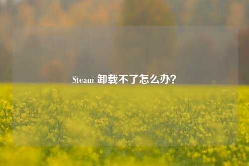 Steam 卸载不了怎么办？