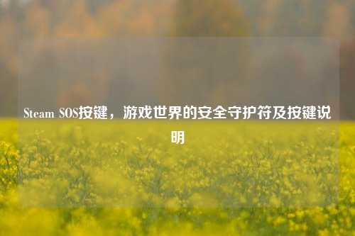 Steam SOS按键，游戏世界的安全守护符及按键说明