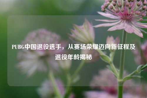 PUBG中国退役选手，从赛场荣耀迈向新征程及退役年龄揭秘
