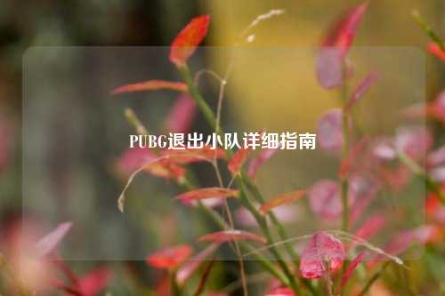 PUBG退出小队详细指南