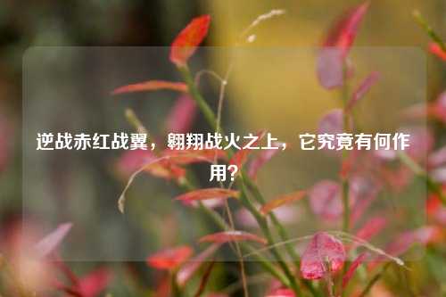 逆战赤红战翼,翱翔战火之上,它究竟有何作用?