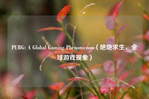 PUBG: A Global Gaming Phenomenon(绝地求生,全球游戏现象)