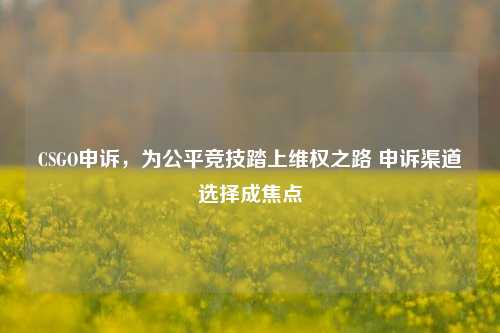CSGO申诉,为公平竞技踏上维权之路 申诉渠道选择成焦点