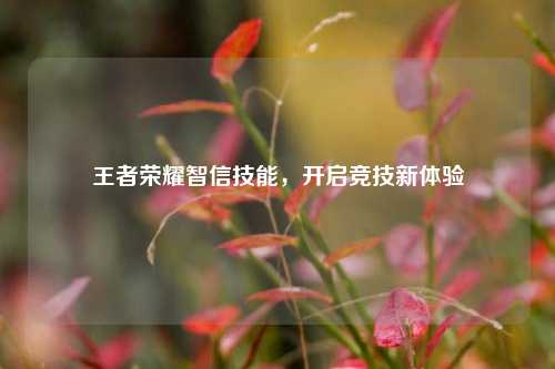 王者荣耀智信技能，开启竞技新体验