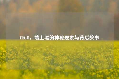 CSGO，墙上黑的神秘现象与背后故事