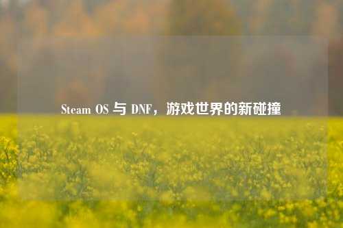 Steam OS 与 DNF,游戏世界的新碰撞