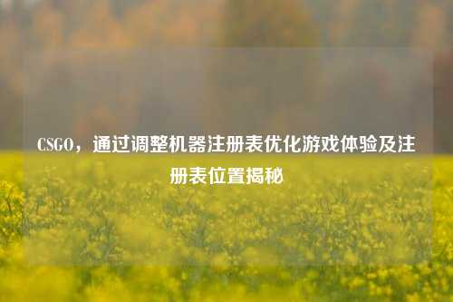 CSGO，通过调整机器注册表优化游戏体验及注册表位置揭秘