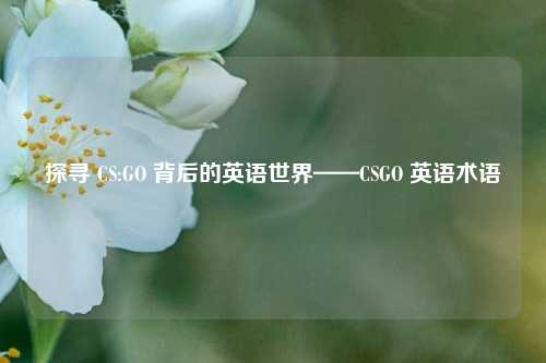 探寻 CS:GO 背后的英语世界——CSGO 英语术语