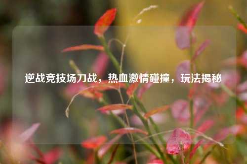 逆战竞技场刀战，热血激情碰撞，玩法揭秘