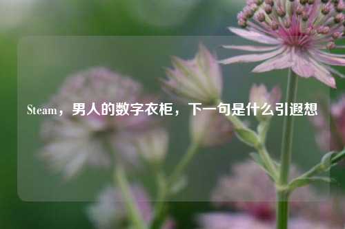 Steam,男人的数字衣柜,下一句是什么引遐想
