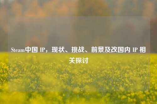 Steam中国 IP,现状、挑战、前景及改国内 IP 相关探讨