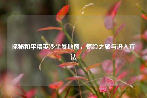 探秘和平精英沙尘暴地图,惊险之旅与进入方法
