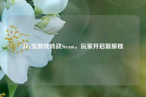 从e宝游戏转战Steam，玩家开启新旅程