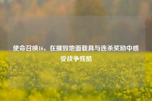 使命召唤16,在摧毁地面载具与连杀奖励中感受战争残酷