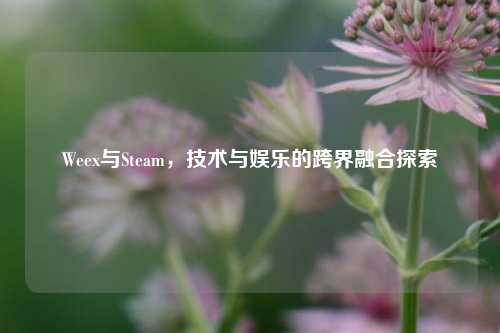 Weex与Steam，技术与娱乐的跨界融合探索