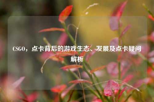CSGO,点卡背后的游戏生态、发展及点卡疑问解析