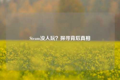 Steam没人玩?探寻背后真相