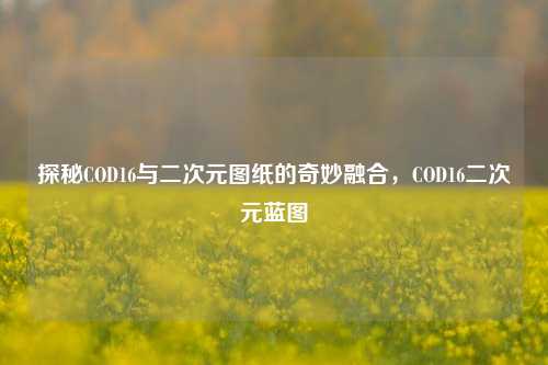 探秘COD16与二次元图纸的奇妙融合,COD16二次元蓝图