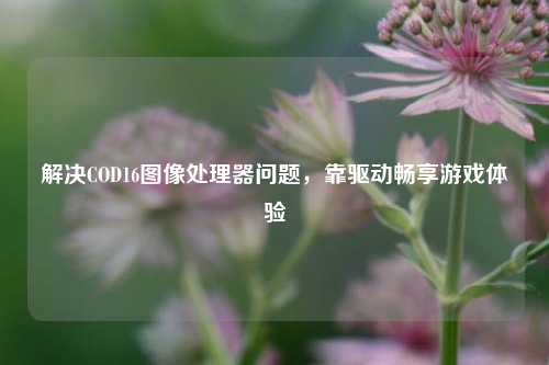 解决COD16图像处理器问题,靠驱动畅享游戏体验
