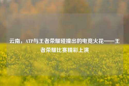 云南，ATP与王者荣耀碰撞出的电竞火花——王者荣耀比赛精彩上演